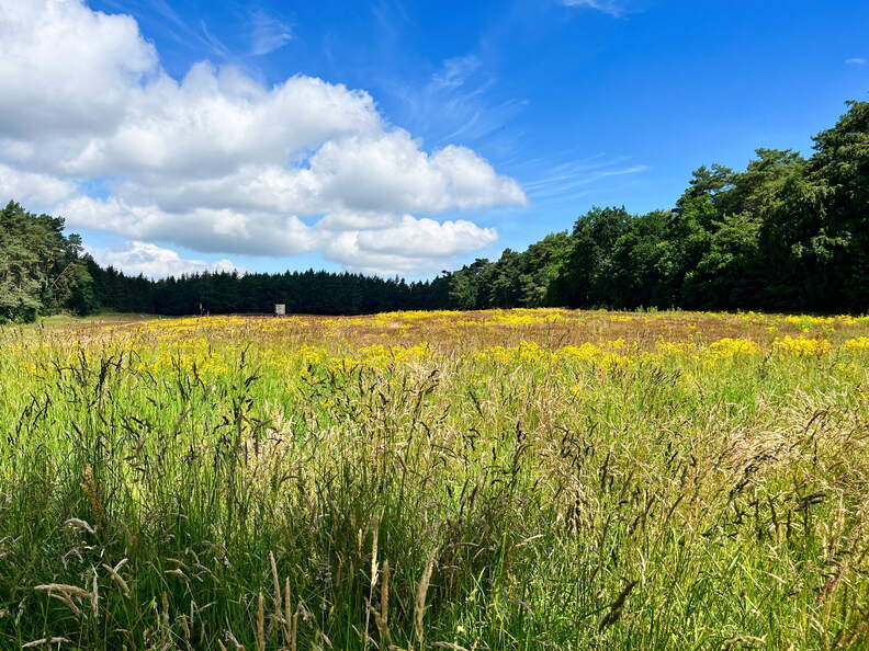 24-06-24 11-24-26 9828